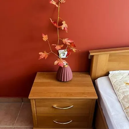 Summer Dreams Apartament Sunny Beach